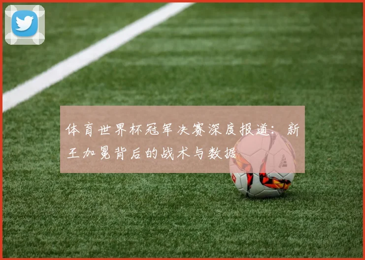 体育世界杯冠军决赛深度报道：新王加冕背后的战术与数据