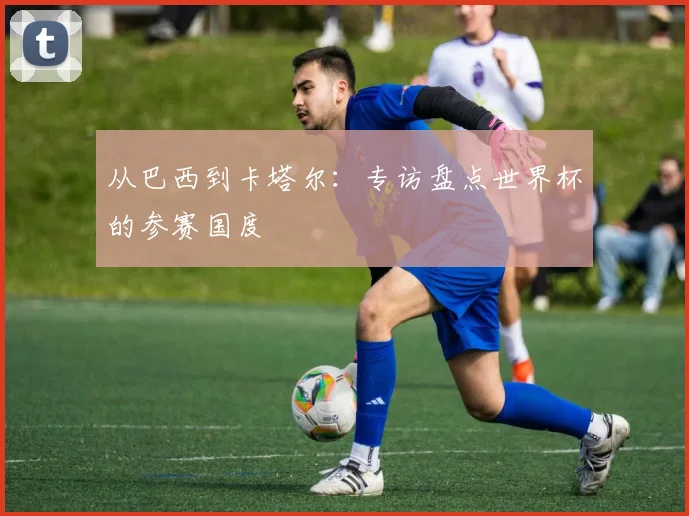 从巴西到卡塔尔：专访盘点世界杯的参赛国度