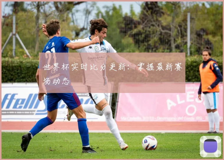 世界杯实时比分更新：掌握最新赛场动态